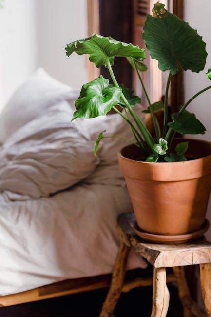 Versatile Designs That Complement Small interiors