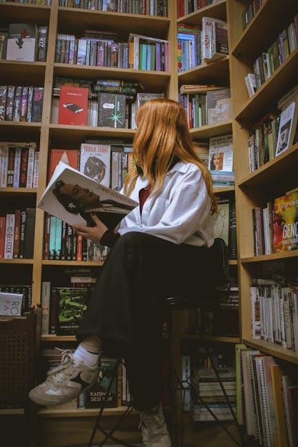 Bookcases That Double as Room Dividers